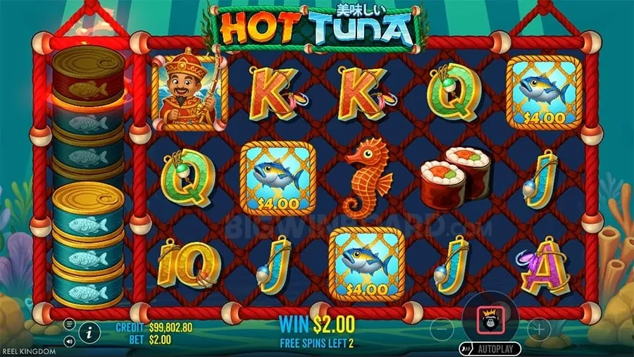 Beginner's Casino Guide